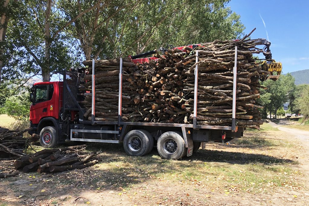 Camió Llenyes del Ges