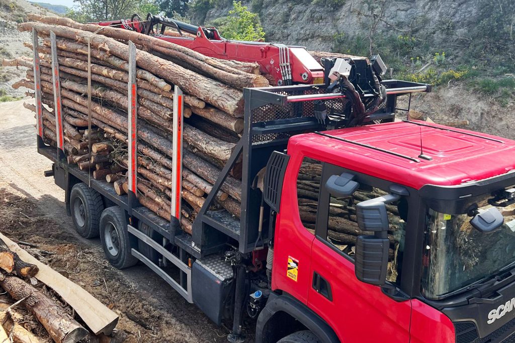 Transport de fusta i llenya a clients o a les nostres instal·lacions de Sant Pere de Torelló.
